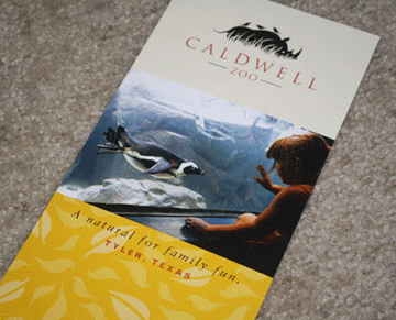 portfolio-brochure04